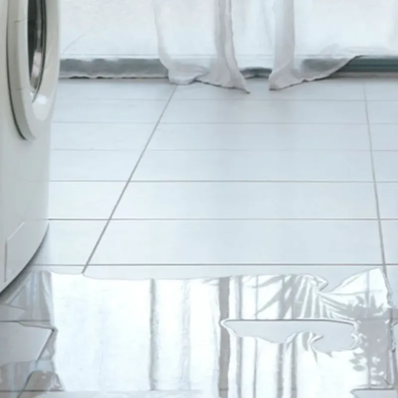 Appliance Leak Cleanup in Orofino, ID