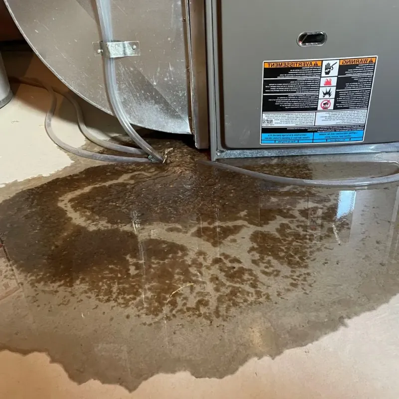 Pipe Burst and Leak Restoration in Orofino, ID